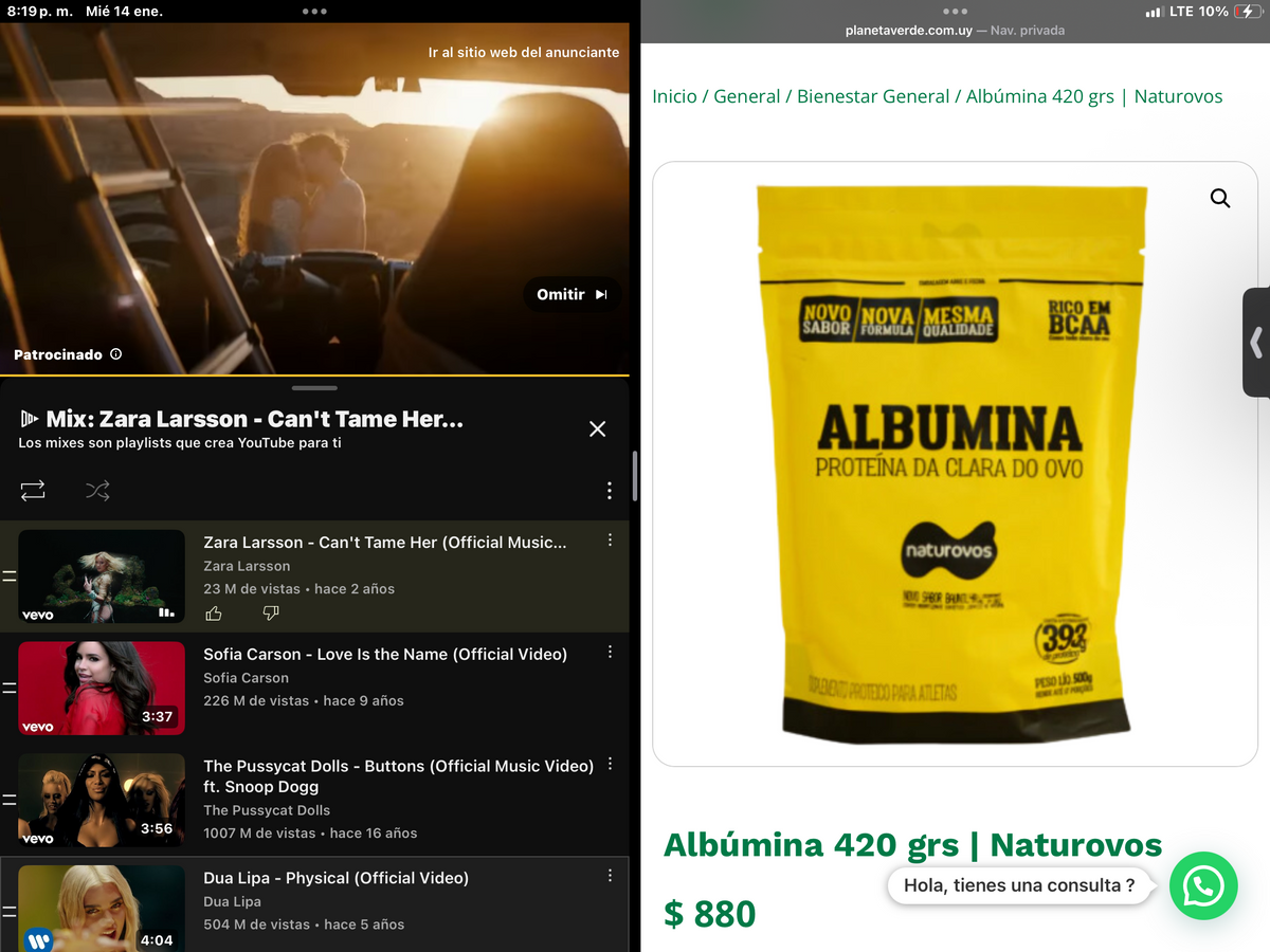 Albumina proteína de huevo