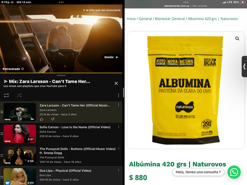 Albumina proteína de huevo